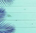 Tropical coconut leaves with blue color wood background Royalty Free Stock Photo