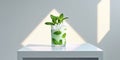 Tropical Coconut Mint Drink on a Light Table Royalty Free Stock Photo