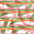 Tropical coconut palm leaves tree branches Royalty Free Stock Photo