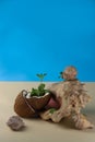 tropical coconut split in half and green mint leaves lie next to a giant shell and small shells on a blue background