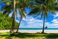 Tropical coconut tree beach