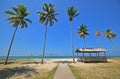 Tropical coconut trees, large traditional wooden hut, sunbathing beach umbrella on Pantai Mangkuk, Kampung Penarik Setiu, Malaysia