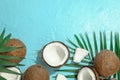 Tropical coconuts with palm branches on color background