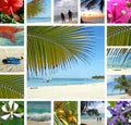 Tropical collage. Exotic travel. Royalty Free Stock Photo