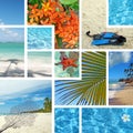 Tropical collage. Exotic travel. Royalty Free Stock Photo