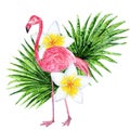 Tropical collage with leaves, flowers and pink flamingo, watercolor illustration