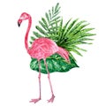 Tropical collage with leaves and pink flamingo Royalty Free Stock Photo