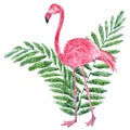 Tropical collage with leaves and pink flamingo Royalty Free Stock Photo
