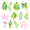 Tropical collection with exotic flowers and leaves Royalty Free Stock Photo