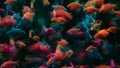 Tropical colored glofish - Gymnocorymbus ternetzi fish swimming in aquarium. View of fluorescent genetically engineered