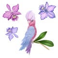 Tropical bird cockatoo parrot and orchids flowers set. Purple, pink, blue orchids and leaves hand drawn vintage illustration