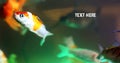 Tropical colorful fishes swimming in aquarium with text. Royalty Free Stock Photo