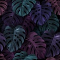 Tropical colorful leaves Monstera on dark background. Seamless pattern. Realistic 3D illustration for textile, hawaiian Royalty Free Stock Photo