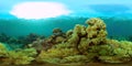 The underwater world of a coral reef. Philippines. Virtual Reality 360 Royalty Free Stock Photo