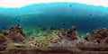 The underwater world of a coral reef. Philippines. Virtual Reality 360 Royalty Free Stock Photo