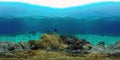 The underwater world of a coral reef. Philippines. Virtual Reality 360 Royalty Free Stock Photo