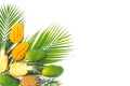 Tropical composition of pineapple and mango fruits with palm leaves on white background. Flat lay, top view. Copy space Royalty Free Stock Photo