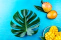 Tropical concept, Tropical leaves and mango on blue background Royalty Free Stock Photo