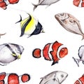 Tropical coral reef fishes seamless pattern. Hand drawn watercolor illustration isolated on white background. Clown fish, idol Royalty Free Stock Photo