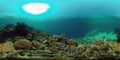 Coral reef and tropical fish underwater. Philippines. 360-Degree view. Royalty Free Stock Photo