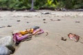 Tropical crab on the beach Royalty Free Stock Photo