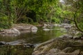 A creek flowing through a tourist spot called Crystal Cascades in tropical rainforest Royalty Free Stock Photo