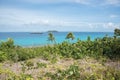 Tropical Cruising Royalty Free Stock Photo