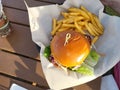 Tropical Cuisine! Huli Huli Chicken Sandwich and French Fries! Royalty Free Stock Photo