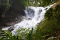 Tropical datanla waterfall in the forest, dalat, vietnam