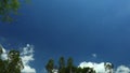 Tropical Climate Time Lapse Sky With Treetops