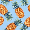 Tropical Delight Pineapple Background