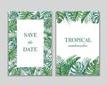 Tropical design and decor frames on white background.