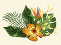 Tropical design element with flowers and strelitzia, leaves palm and monstera. Vector on a light background