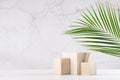 Tropical design for presentation and product display - cube wood podiums with green palm leaf, sunlight and shadow on white wood.