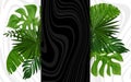 Green leaves nature with wavy background. banner. Springtime . tropical nature .Close up . Environment wallpaper Royalty Free Stock Photo