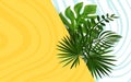 Green leaves nature with wavy background. banner. Springtime . tropical nature .Close up . Environment wallpaper Royalty Free Stock Photo