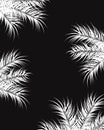 Tropical design with white palm leaves and plants on dark background Royalty Free Stock Photo