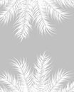 Tropical design with white palm leaves and plants on gray background