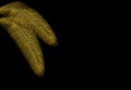 Tropical Different shaped golden palm leaves. Stylized from circles. illustration