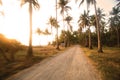 Tropical Dirtroad Royalty Free Stock Photo