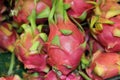 Tropical dragon fruits in closeup, Asia