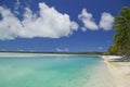Tropical Dream Beach Paradise Royalty Free Stock Photo