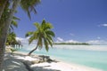 Tropical Dream Beach Paradise
