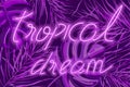 Tropical dream neon banner Vector. Summer hot poster text templates