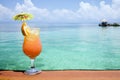 Tropical Drink Paradise Royalty Free Stock Photo