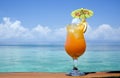 Tropical Drink Paradise Royalty Free Stock Photo