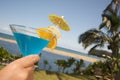 Tropical Drinks Royalty Free Stock Photo