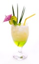 Tropical Drinks Royalty Free Stock Photo