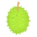 Tropical durian fruit icon, isometric style Royalty Free Stock Photo