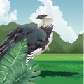 Tropical eagle monstera leaves fauna and flora landscape